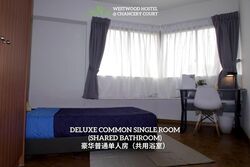 Dunearn Road (D11), Apartment #544035091